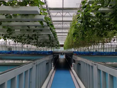 衡水XXX公司植物工厂厂家哪个好相关业务场景